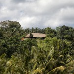 Bali Asli nestled in the trees