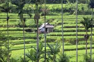 Beautiful Karangasem