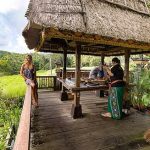 Bali Asli Lumbung