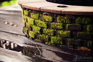 Moss covered Fire Pit Wall
